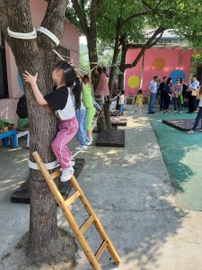 Children climbing on ladders and interacting with open-ended materials in an Anji playground designed for adventurous play